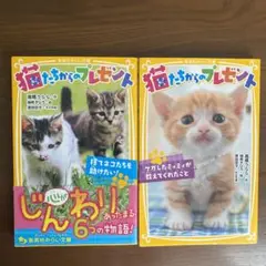 猫たちからのプレゼント 文庫本児童書 2冊セット まとめ売り 読書感想文