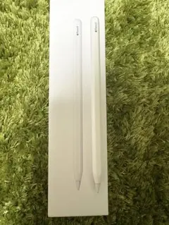 極美品　Apple Pencil (第2世代)