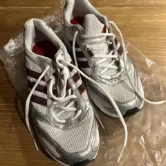 Item thumbnail for item b7817a6c-5f98-4cd7-9b75-1764424b17ab