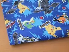 Item thumbnail for item 2ad04fae-06cc-44fd-8793-e90fb5267531