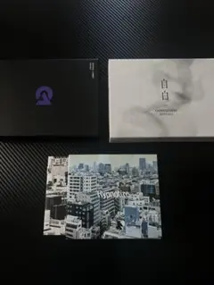 2026年最新】dustcell summitの人気アイテム - メルカリ