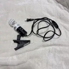 Item thumbnail for item 890b2711-e3c2-4d36-9db0-a2cf957114aa