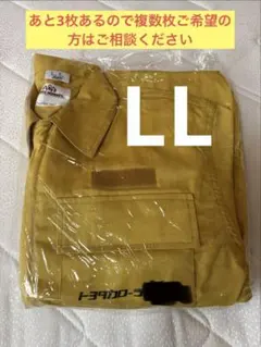 Item thumbnail for item 4ca2edda-bf44-458e-9f9d-e7a71a6a32a6