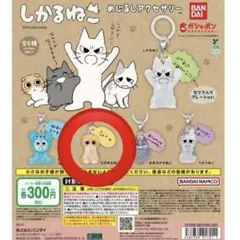 しかるねこ めじるしアクセサリー ながめるねこ