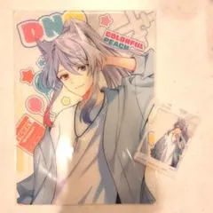 からぴち夏休み　どぬく　東京ドームシティ　カラフルピーチ　トレカ　下敷き