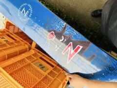 ZIMA サーフボード ファンボード