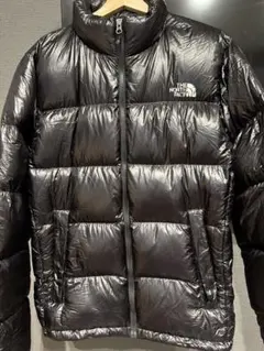 THE NORTH FACE GLヌプシ ダウンジャケット ND18101