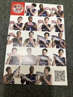 横浜ビーコルセアーズ