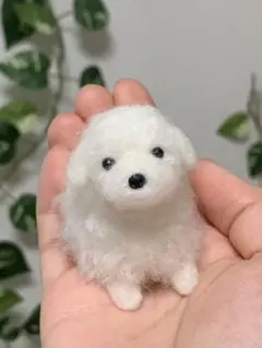 586♥︎マルプー犬・羊毛フェルト❣️ - メルカリ
