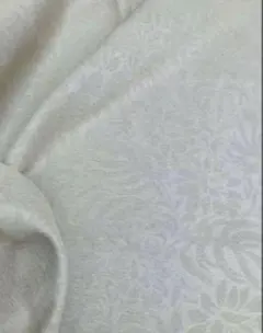 Item thumbnail for item fecda165-040a-47dc-b9a6-a3956a167546