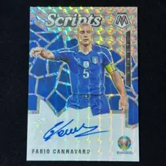 Fabio Cannavaro カンナバーロ Mosaic Euro Auto