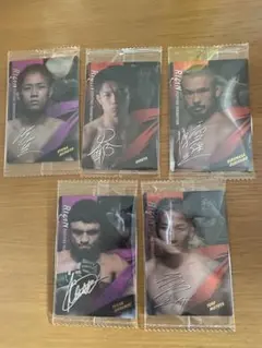 Item thumbnail for item 321cf05e-8360-497b-8286-6b9a7d90502d