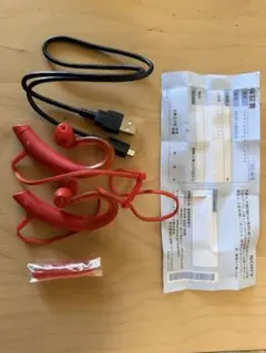 SONY ソニー　ワイヤレスイヤホン　MDR-XB80BS 赤