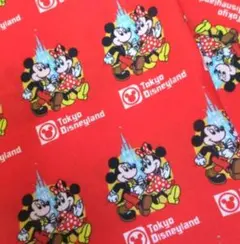 ⭐️様　生地おまとめ