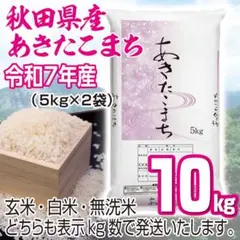 農家直送 秋田県産 令和７年 あきたこまち 【白希】 15kg 秋田小町 農家直送 秋田県産 令和7年 あきたこまち 【白希】 15kg 秋田小町