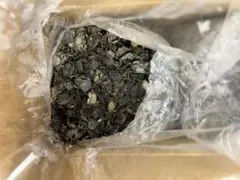 冷凍磯カニ こませ用に最適です。2Kg