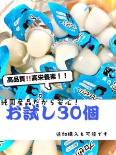 昆虫ゼリー KBファーム プロゼリー16g 50 - メルカリ