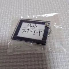 2026年最新】bish アクリルキーホルダーの人気アイテム - メルカリ