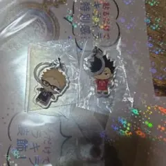 ふうき*プロフ必読様 専用