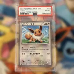 이브이 C BW8 라센포스 042/051 psa8