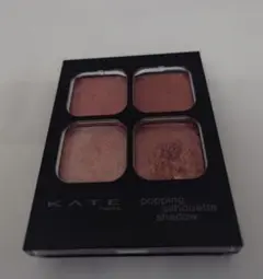 ケイト ポッピングシルエットシャドウ OR-1