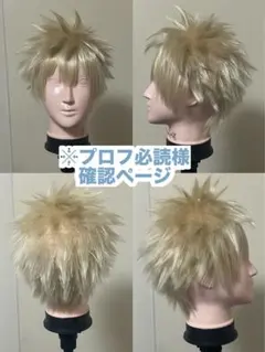 Item thumbnail for item 6d782942-5801-4d9b-acb1-cda11af9718a