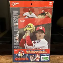 5月2日（祝）広島カープVS中日ドラゴンズ観戦チケット×2枚セット 内野S