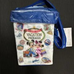 東京ディズニーリゾート バケーションパッケージ ポップコーンバケット