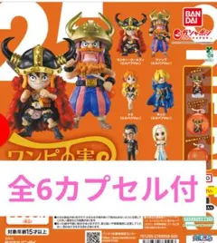 新品　カプセル付　ワンピの実　第二十五海戦　　コンプリートセット　2