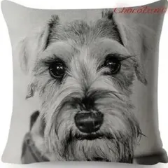 Item thumbnail for item aa7c13ec-557d-4f41-8c0c-b9f209f4d7fa