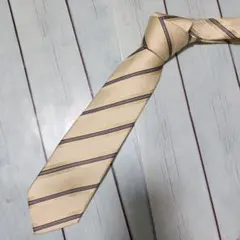 POLO イエロー ストライプ ネクタイ