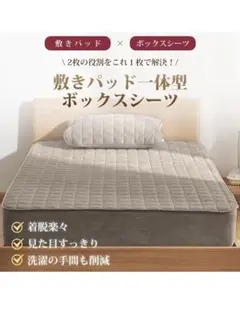 TEIJIN 防ダニ 抗菌防臭 ボックスシーツ シングル　2セット