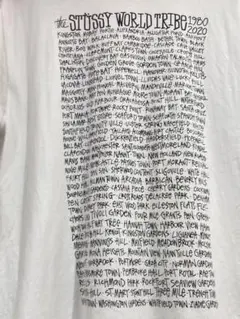 stussy tシャツ Lサイズ