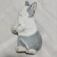 YOU+MORE!のサムネイル