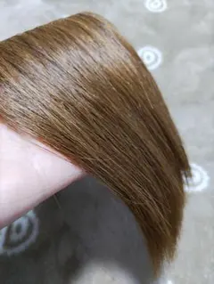 Item thumbnail for item b698e59f-7ed0-44a5-9979-2dac35a2e966