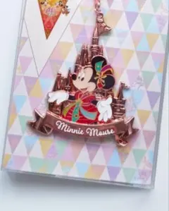 【セール】ディズニーランド 40周年 バックチャーム