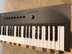 A*M様 (箱付き・中古) Komplete Kontrol A49 2026年最新】Komplete kontrol a49の人気アイテム - メルカリ
