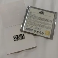 SEVENTEEN セブチ　エスクプス　ピンバッジ　ペンミ holiday