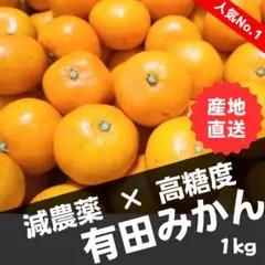 ☆【超お得】甘い！減農薬 有田みかん 訳あり 家庭用 1kg1801
