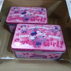 ミニー　ファンダーランド　パルパルーザ　ディズニーランド チョコレート2缶