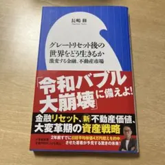 グレートリセット後の世界をどう生きるか : 激変する金融、不動産市場