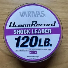 Item thumbnail for item 0915174e-8718-42cc-8069-c187096959f9