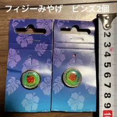 Item thumbnail for item 39e7dfc1-8eed-47ba-82a7-cfdeb77e6958