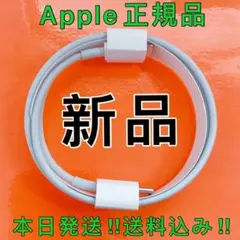 Apple純正　Lightningケーブル　ライトニング　USB-C