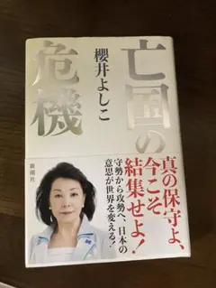 Item thumbnail for item 24b96d86-86ad-45d6-9ade-f3686b576d62