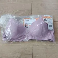 Atsugi Hijuni ブラジャー M ラベンダー