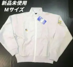 Item thumbnail for item 8a2c1214-0ff3-4e0b-a042-61182a8fb577