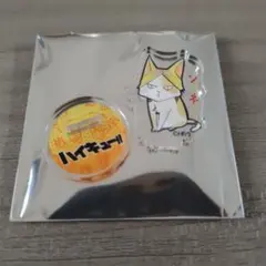 ハイキュー　アクリルminiフィギュア　動物Ver　孤爪研磨　ケンマネコ