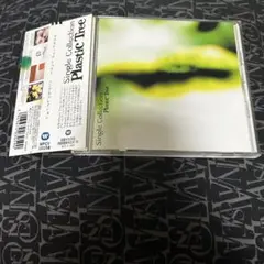 プラスティック トゥリー/シングルコレクション