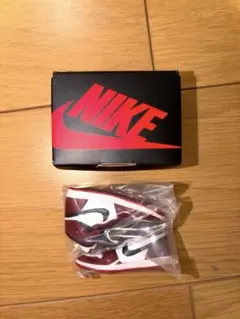 jordan CHICAGO レア